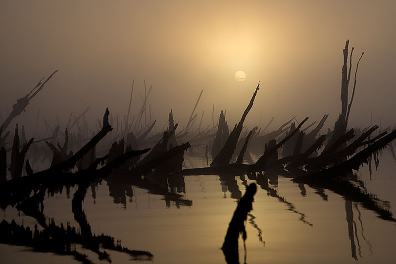 chepu kayaking