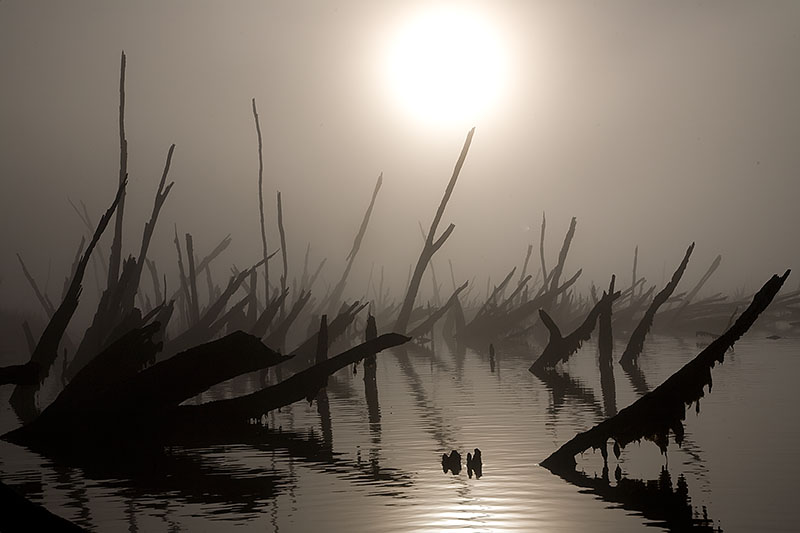 chepu kayaking