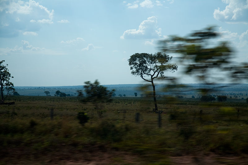 from Sorocaba to Rodonópolis