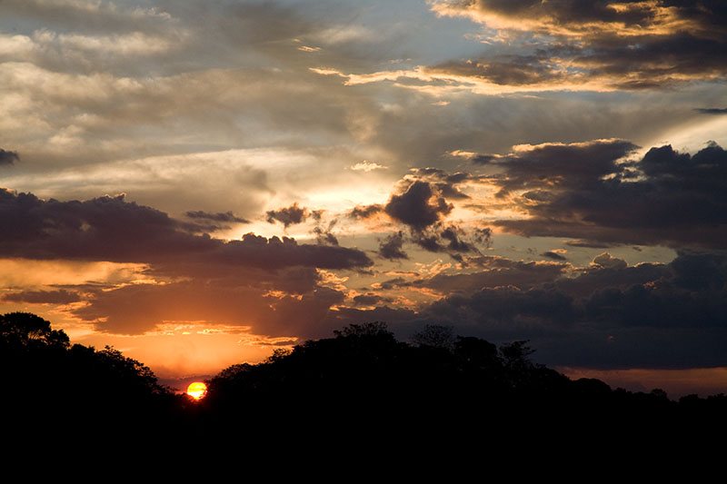 pantanal, brazil