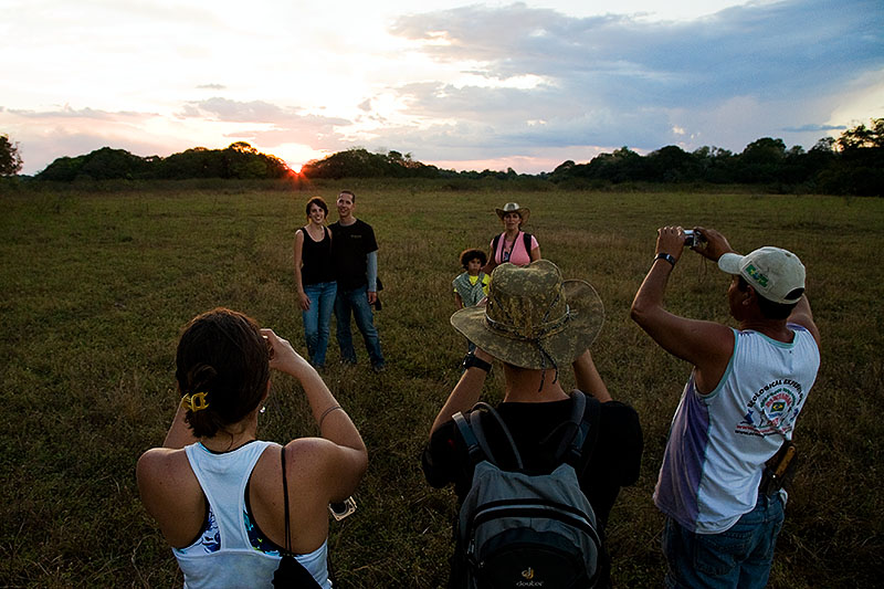 pantanal, brazil