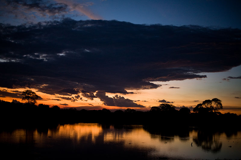 pantanal, brazil