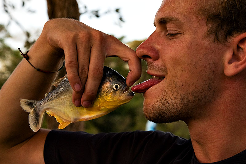 piranha kiss