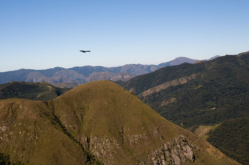 condors hike