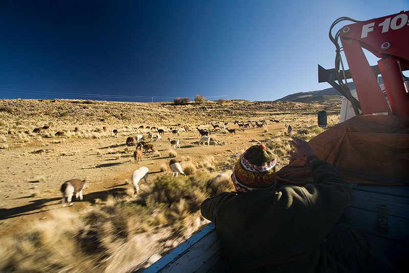 autostop potosi uyuni