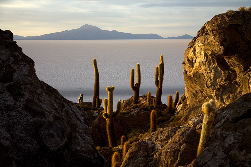 salar de uyuni isla del pescado incahuasi