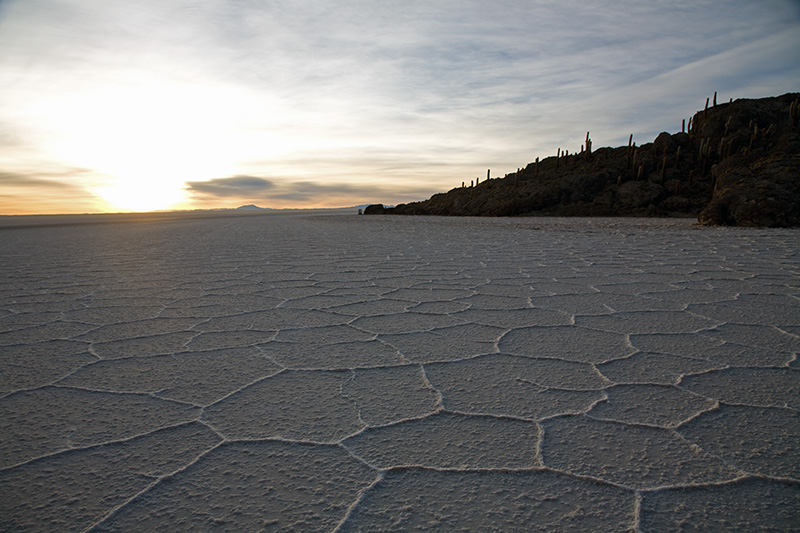 salar de uyuni isla del pescado incahuasi