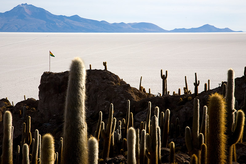 salar de uyuni isla del pescado incahuasi