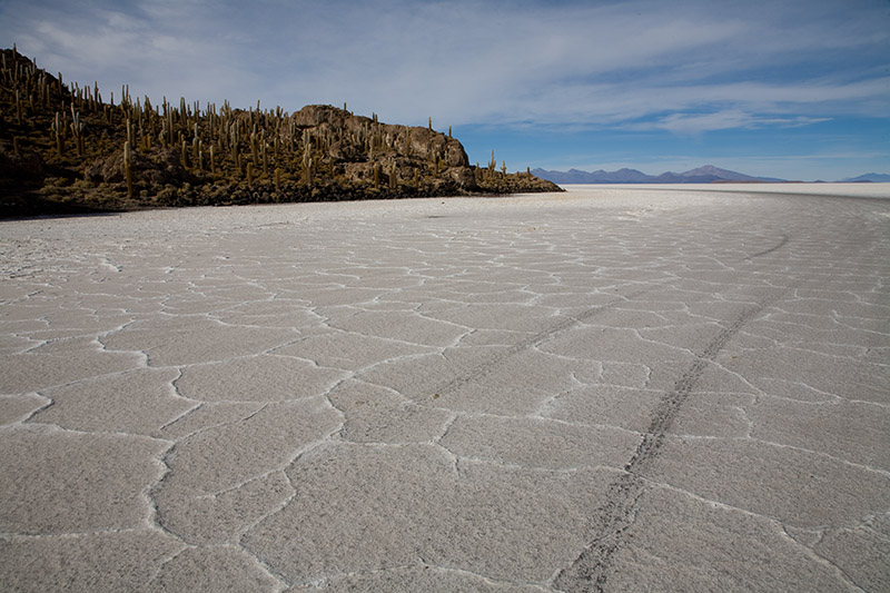 salar de uyuni isla del pescado incahuasi