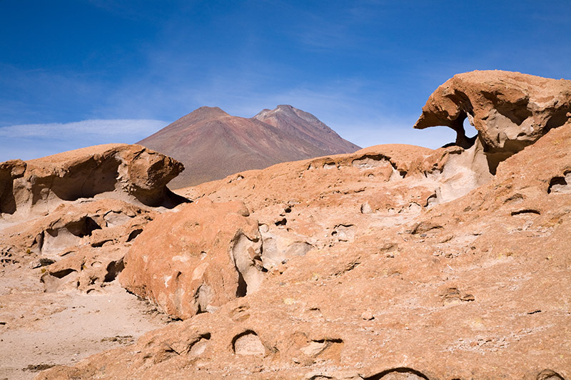 salar de uyuni, laguna hedionda, arbol de piedra, laguna colorada