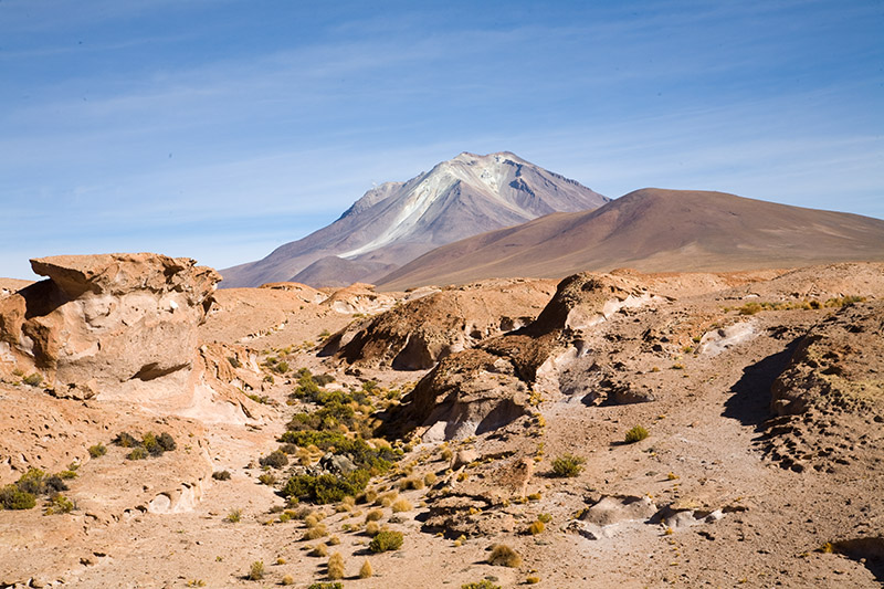 salar de uyuni, laguna hedionda, arbol de piedra, laguna colorada