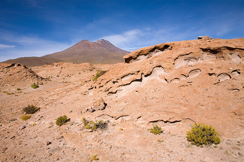 salar de uyuni, laguna hedionda, arbol de piedra, laguna colorada