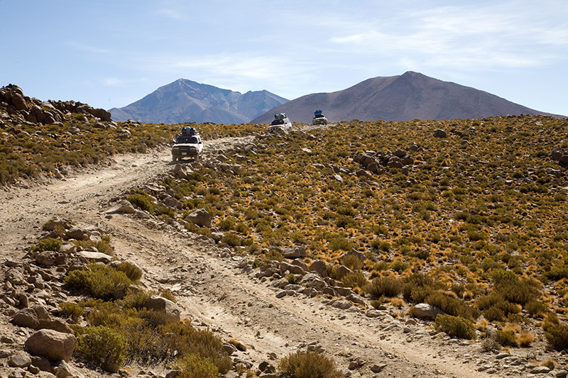 salar de uyuni, laguna hedionda, arbol de piedra, laguna colorada