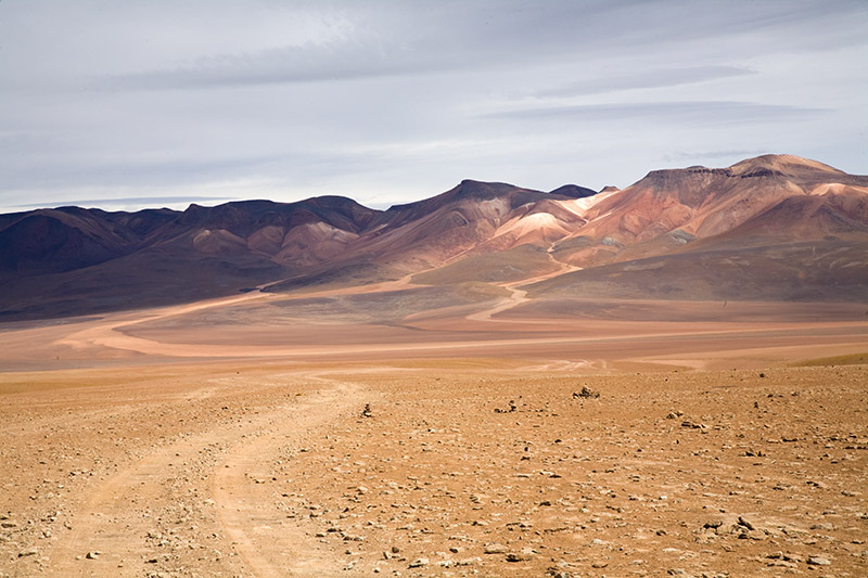 salar de uyuni, laguna hedionda, arbol de piedra, laguna colorada