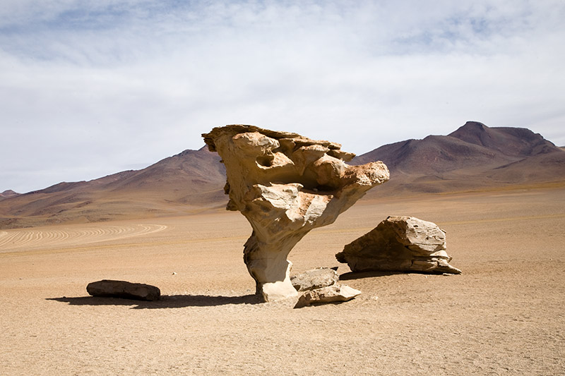 salar de uyuni, laguna hedionda, arbol de piedra, laguna colorada