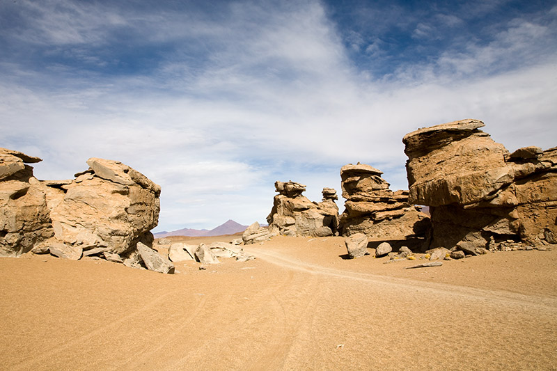 salar de uyuni, laguna hedionda, arbol de piedra, laguna colorada