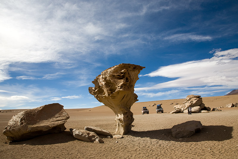 salar de uyuni, laguna hedionda, arbol de piedra, laguna colorada