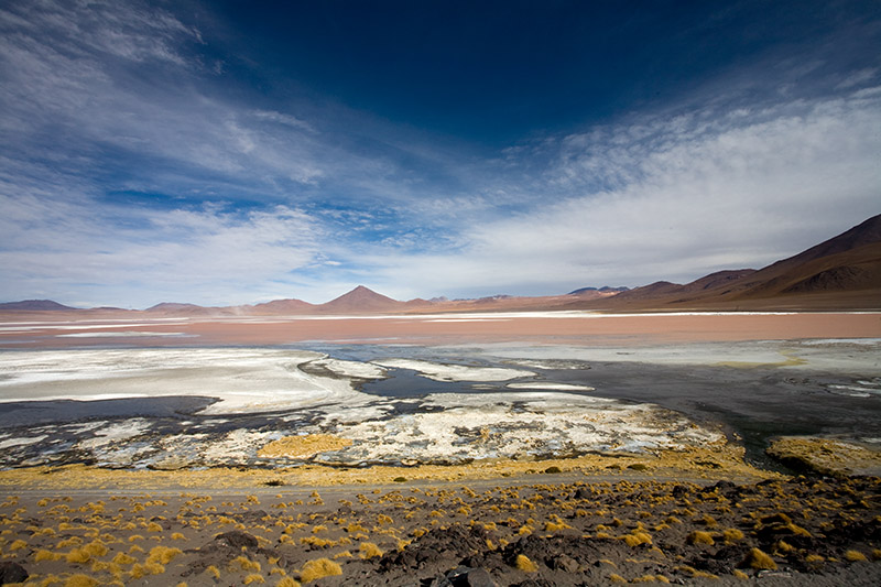 salar de uyuni, laguna hedionda, arbol de piedra, laguna colorada