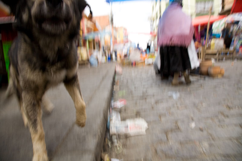 la paz streets