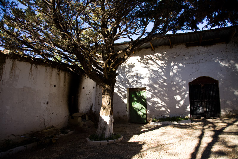 ecofarm, el alto, bolivia