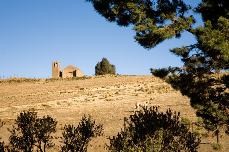 ecofarm, el alto, bolivia