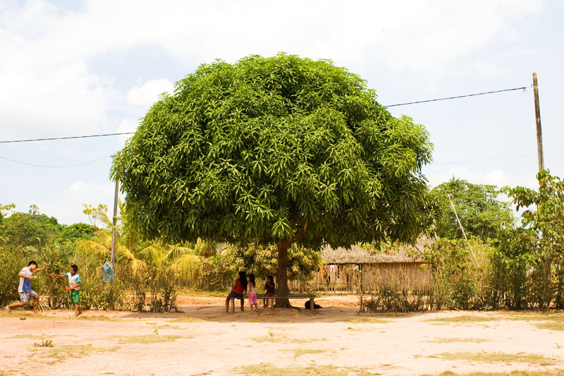 Peru, Amazonia, San Francisco, Santa Clara, Nuevo Eqipto, Nuevo Chicago, villages