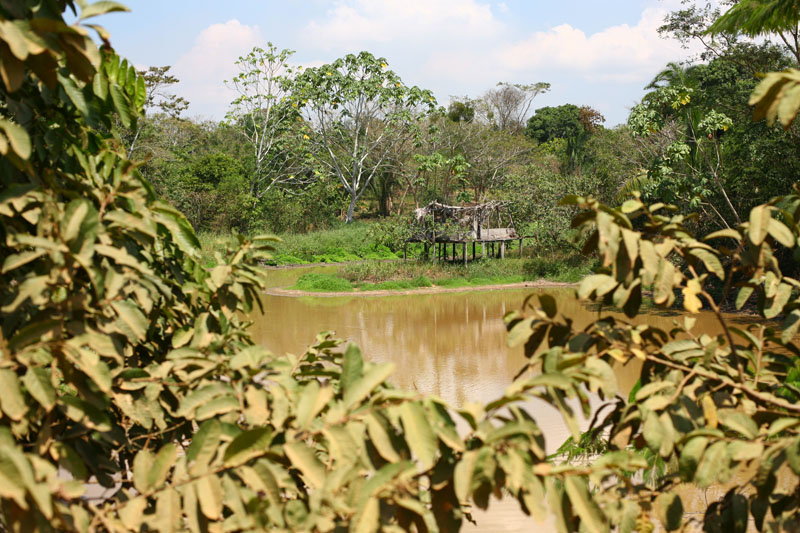 Peru, Amazonia, San Francisco, Santa Clara, Nuevo Eqipto, Nuevo Chicago, villages