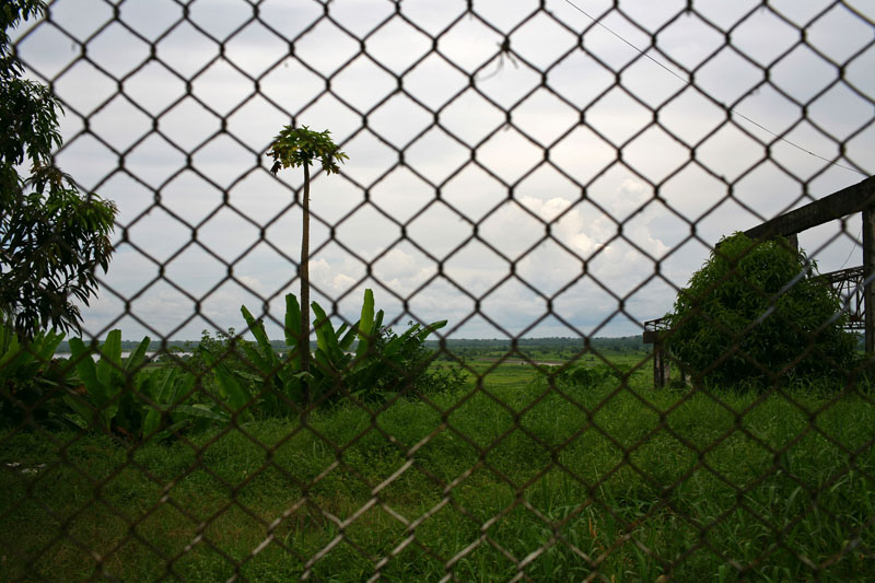 iquitos