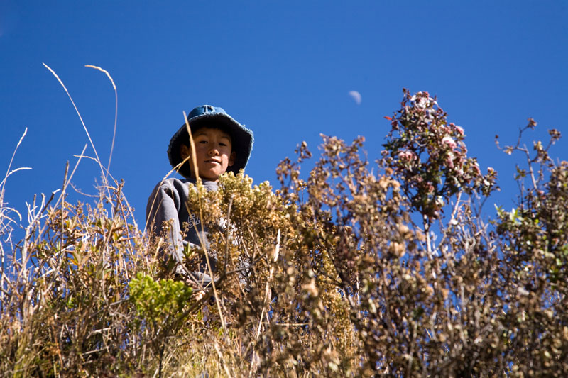 isla del sol, titikaka, bolivia