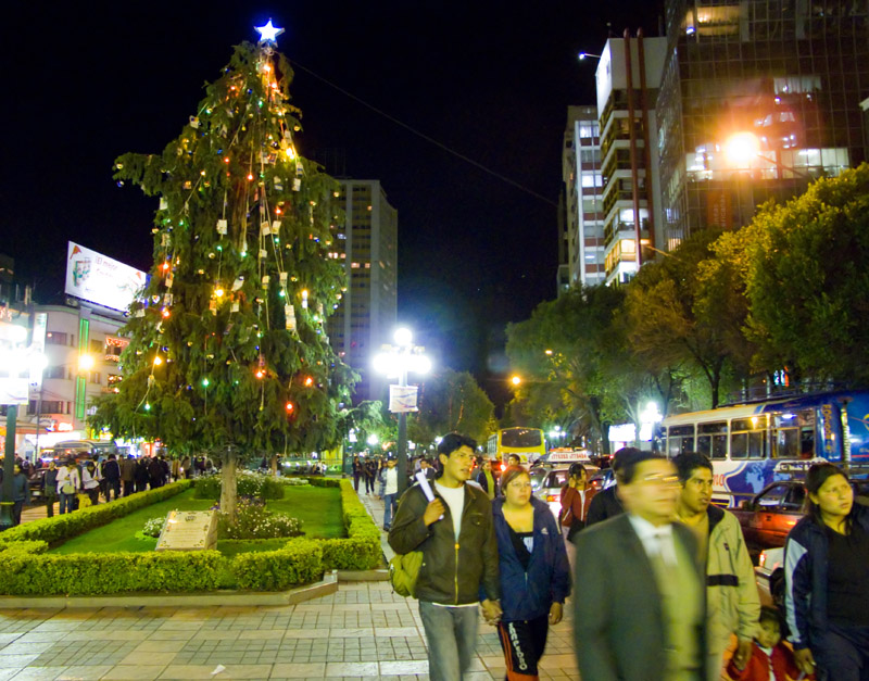 la paz, xmas tree